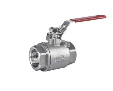 Stainless (Carbon) Steel 2-PC Ball Valve – 2000PSI