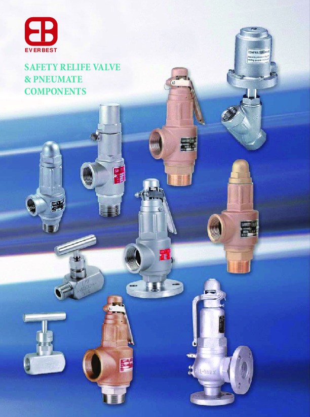 Safety Relief Valves