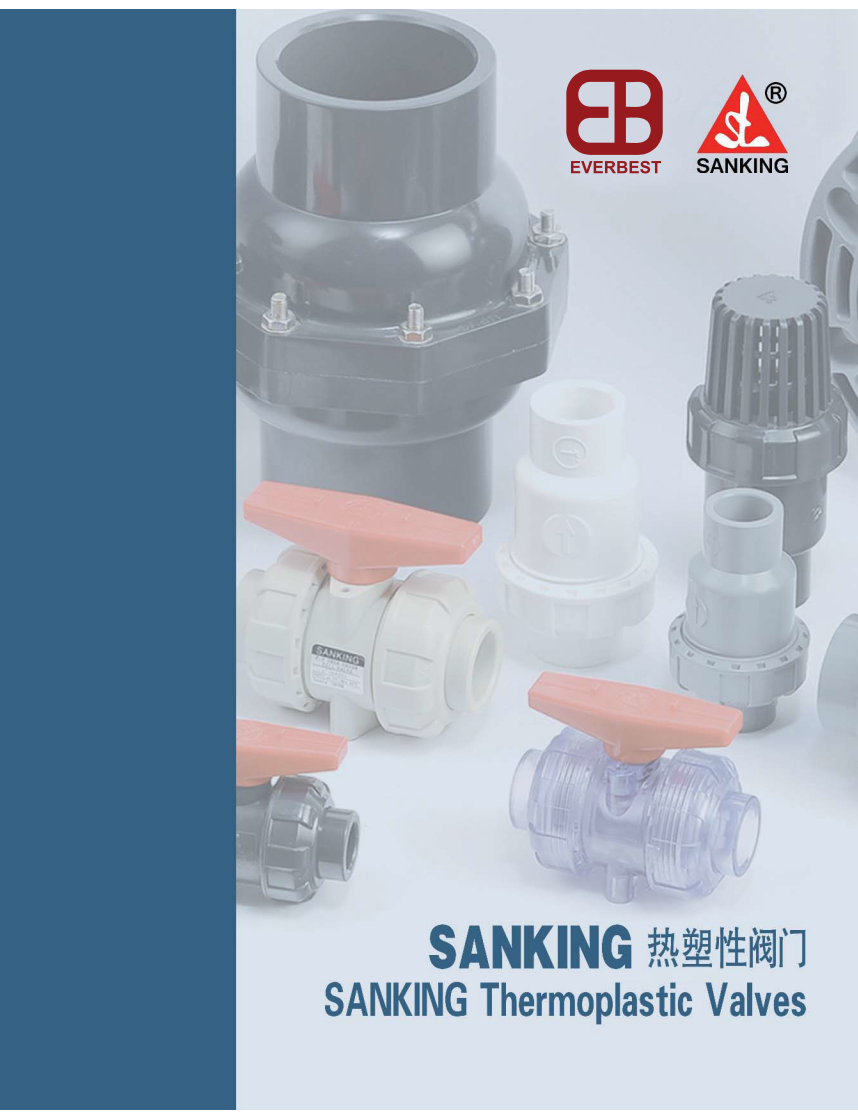 SANKING Thermoplastic Valves