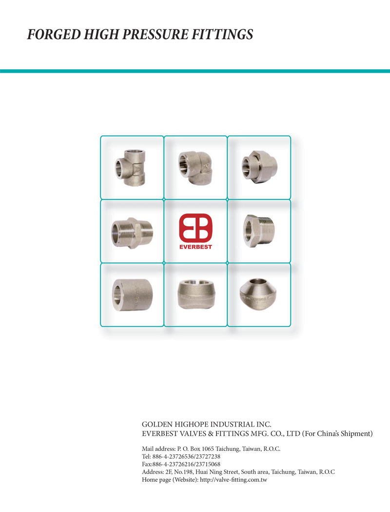 Forged High Pressure Fittings